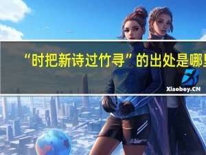 “时把新诗过竹寻”的出处是哪里