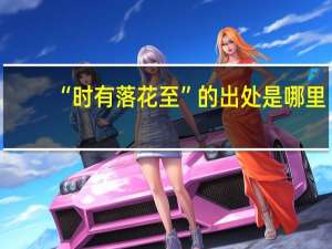 “时有落花至”的出处是哪里