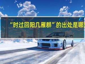 “时过回阳几雁群”的出处是哪里