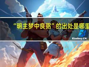 “明主梦中良弼”的出处是哪里