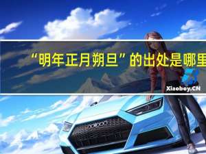 “明年正月朔旦”的出处是哪里