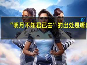 “明月不知君已去”的出处是哪里