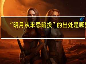 “明月从来忌暗投”的出处是哪里