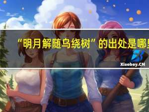 “明月解随乌绕树”的出处是哪里