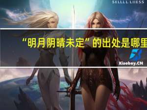 “明月阴晴未定”的出处是哪里