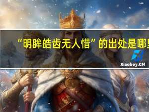 “明眸皓齿无人惜”的出处是哪里