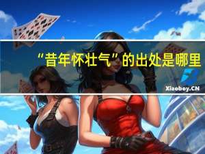 “昔年怀壮气”的出处是哪里