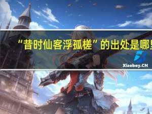 “昔时仙客浮孤槎”的出处是哪里