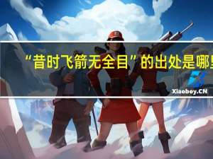 “昔时飞箭无全目”的出处是哪里