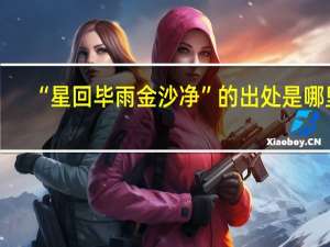 “星回毕雨金沙净”的出处是哪里