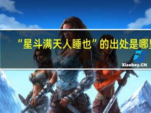 “星斗满天人睡也”的出处是哪里