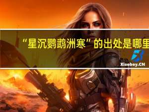 “星沉鹦鹉洲寒”的出处是哪里