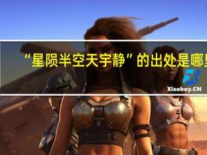 “星陨半空天宇静”的出处是哪里