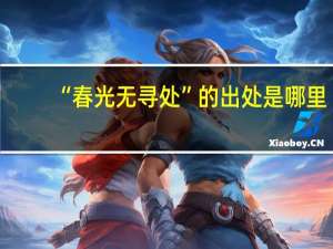 “春光无寻处”的出处是哪里