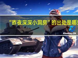 “昨夜深深小洞房”的出处是哪里