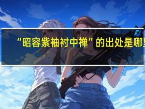 “昭容紫袖衬中禅”的出处是哪里