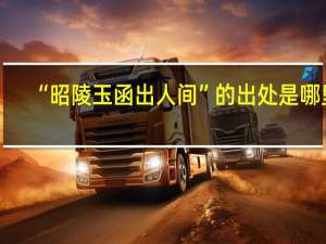 “昭陵玉函出人间”的出处是哪里