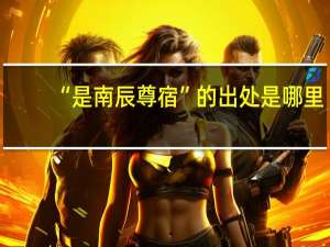 “是南辰尊宿”的出处是哪里