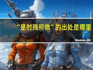 “是时残照微”的出处是哪里