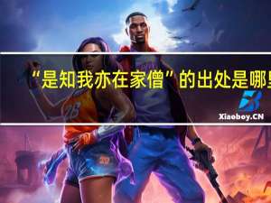 “是知我亦在家僧”的出处是哪里
