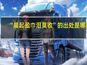 “晨起盈巾泪莫收”的出处是哪里