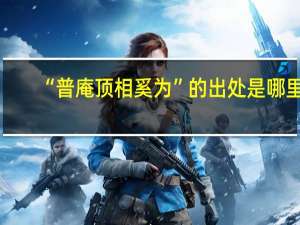 “普庵顶相奚为”的出处是哪里