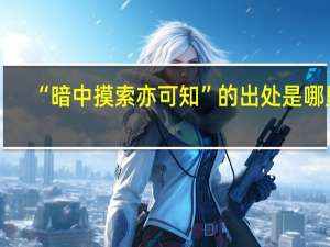 “暗中摸索亦可知”的出处是哪里