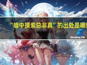 “暗中摸索总非真”的出处是哪里