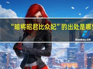 “暗将昭君比众妃”的出处是哪里