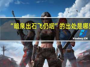 “暗泉出石飞仍咽”的出处是哪里