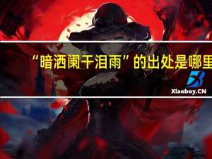 “暗洒阑干泪雨”的出处是哪里