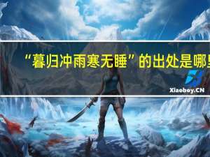“暮归冲雨寒无睡”的出处是哪里