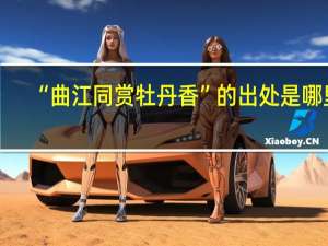 “曲江同赏牡丹香”的出处是哪里