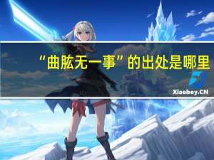 “曲肱无一事”的出处是哪里