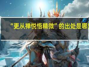“更从禅悦悟精微”的出处是哪里