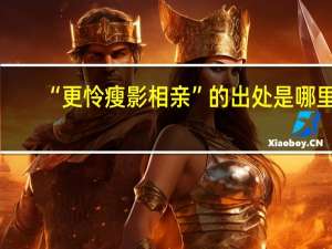 “更怜瘦影相亲”的出处是哪里