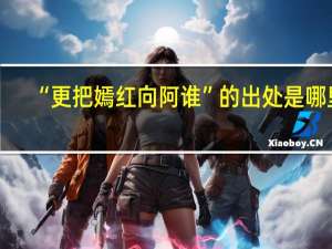 “更把嫣红向阿谁”的出处是哪里