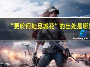 “更於何处觅城花”的出处是哪里