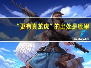 “更有真龙虎”的出处是哪里