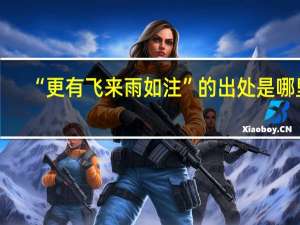 “更有飞来雨如注”的出处是哪里
