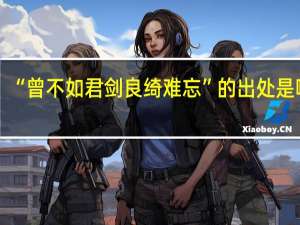 “曾不如君剑良绮难忘”的出处是哪里