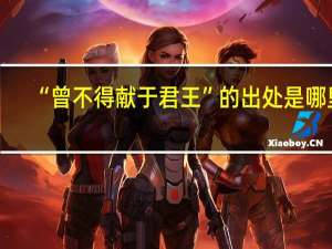 “曾不得献于君王”的出处是哪里
