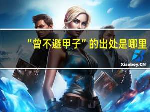 “曾不避甲子”的出处是哪里
