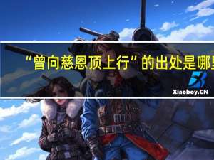 “曾向慈恩顶上行”的出处是哪里