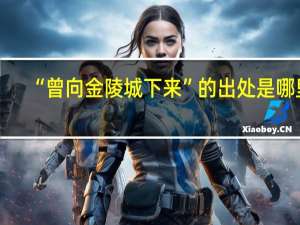 “曾向金陵城下来”的出处是哪里
