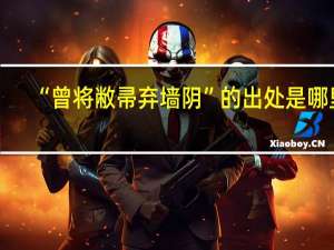 “曾将敝帚弃墙阴”的出处是哪里