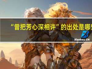 “曾把芳心深相许”的出处是哪里