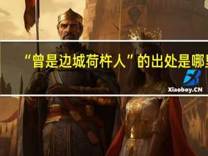 “曾是边城荷杵人”的出处是哪里