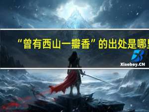 “曾有西山一瓣香”的出处是哪里