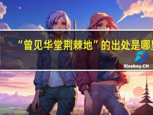 “曾见华堂荆棘地”的出处是哪里